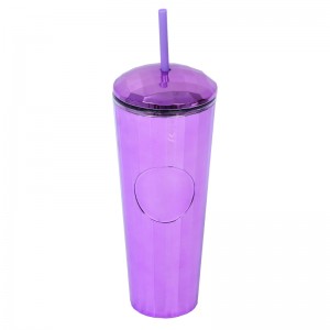 Plastic Cup Double Wall Straw Cup Color Coffee Tea Cup